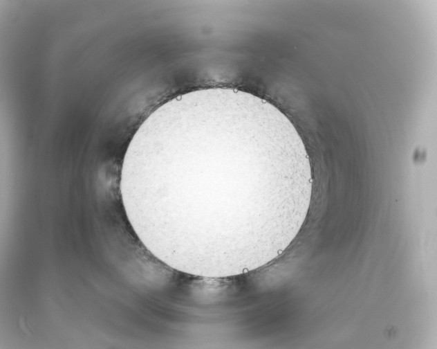 X0000093090672200710241202