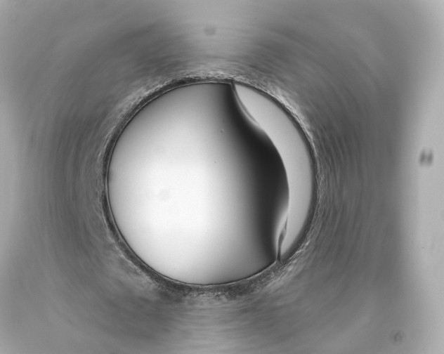 X0000093090673200710241201