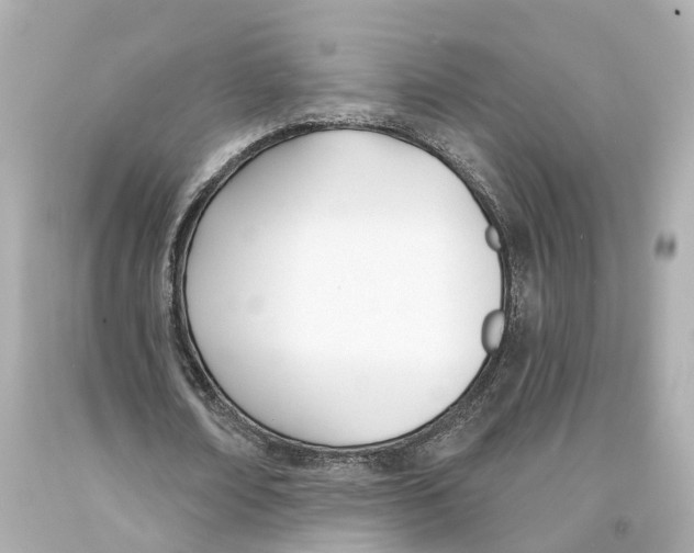 X0000093090674200710241201