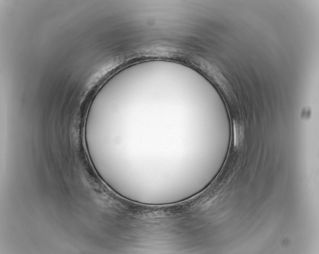 X0000093090675200710241201