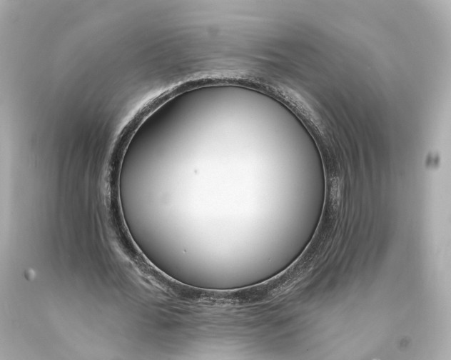 X0000093090676200710241201