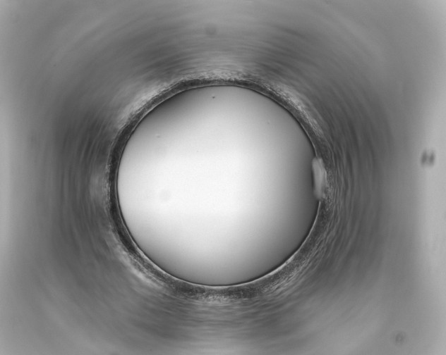 X0000093090677200710241201