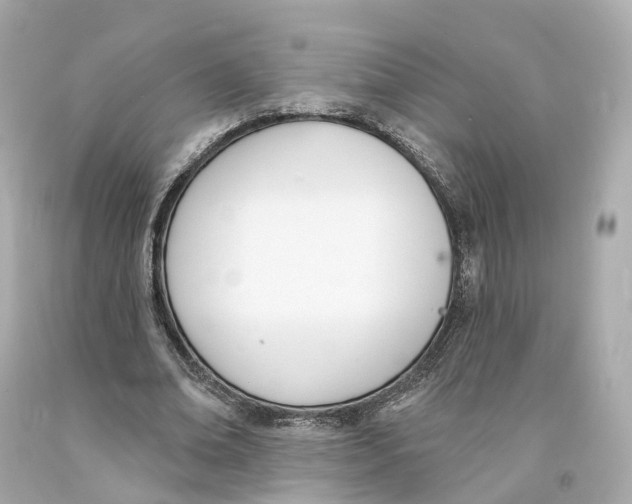 X0000093090678200710241201