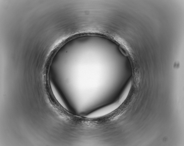 X0000093090680200710241201
