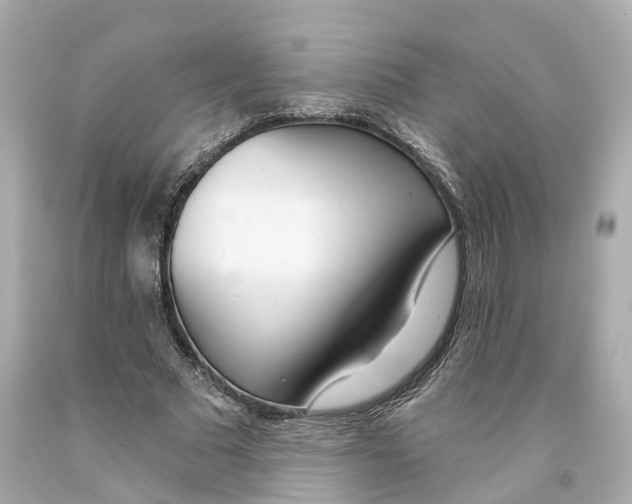 X0000093090681200710241201