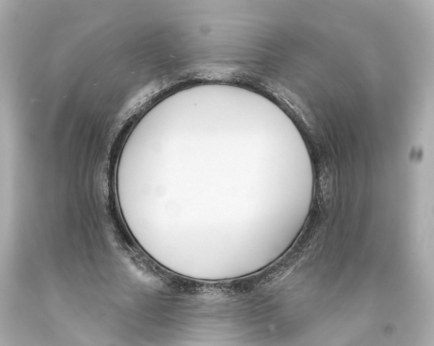 X0000093090682200710241201