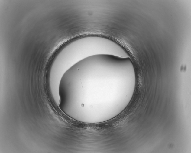 X0000093090684200710241201