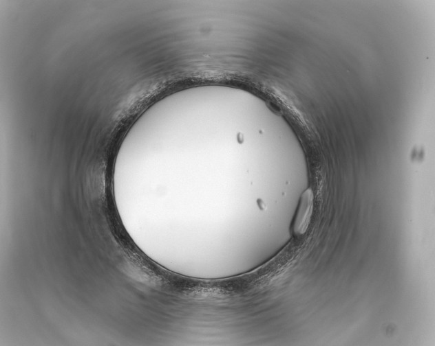 X0000093090685200710241201