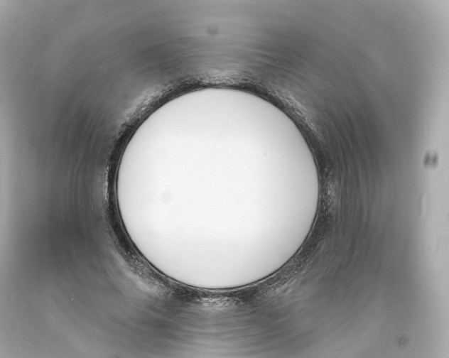 X0000093090686200710241201