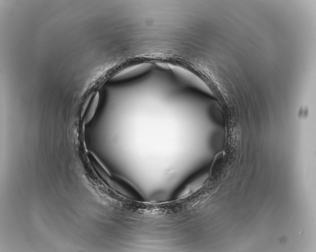 X0000093090688200710241201