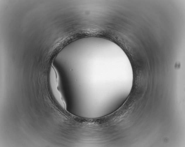 X0000093090689200710241201