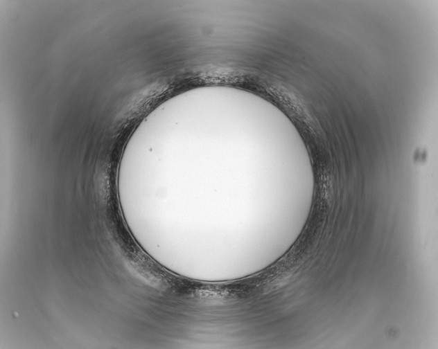 X0000093090690200710241201