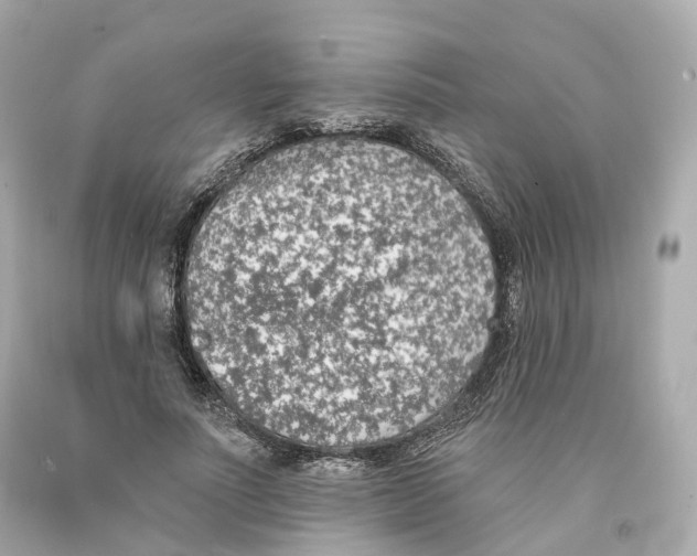 X0000093090691200710241201