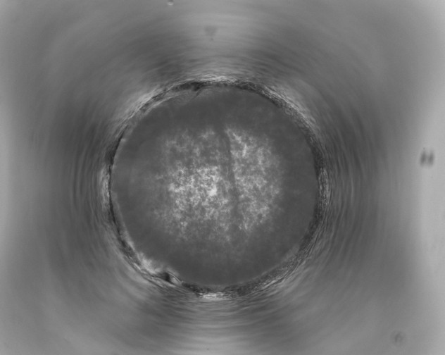 X0000093090692200710241201