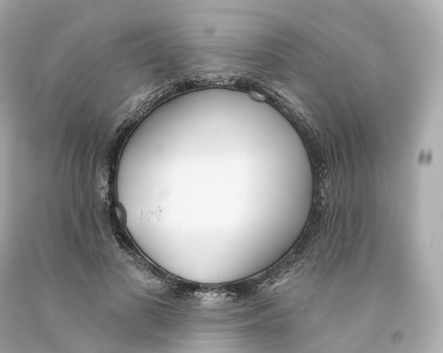 X0000093090693200710241201