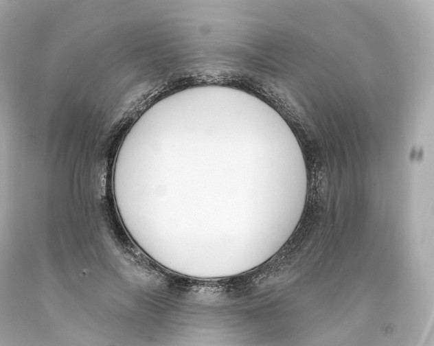 X0000093090694200710241201