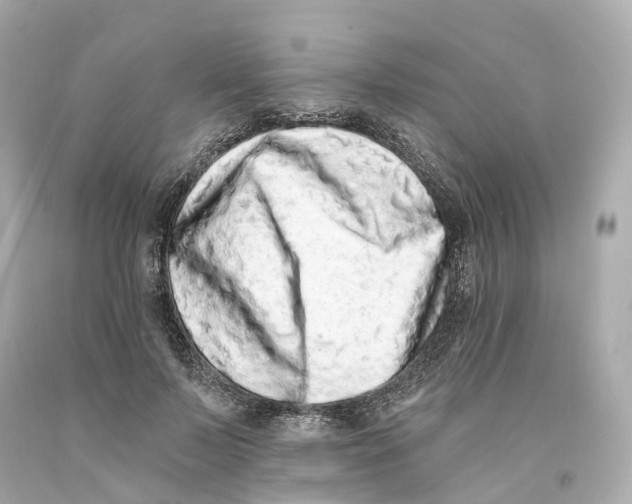 X0000093090695200710241201