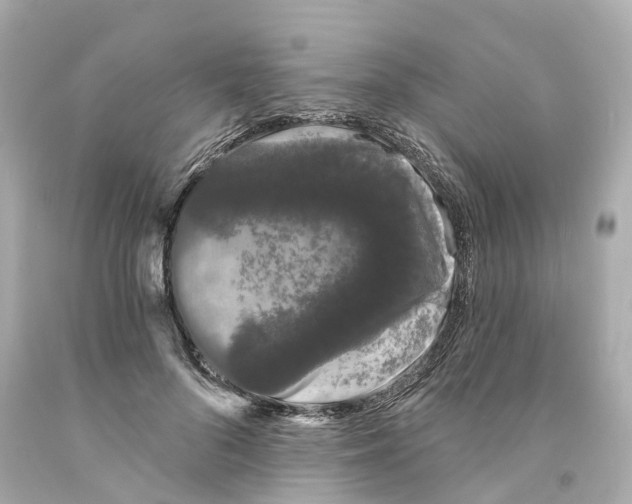 X0000093090696200710241201