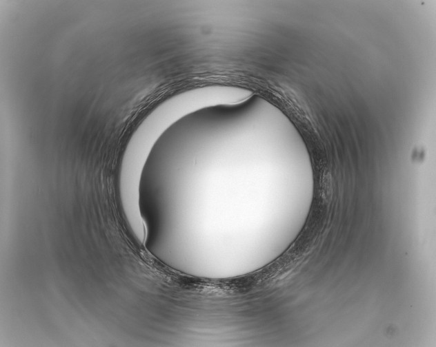 X0000093090697200710241201