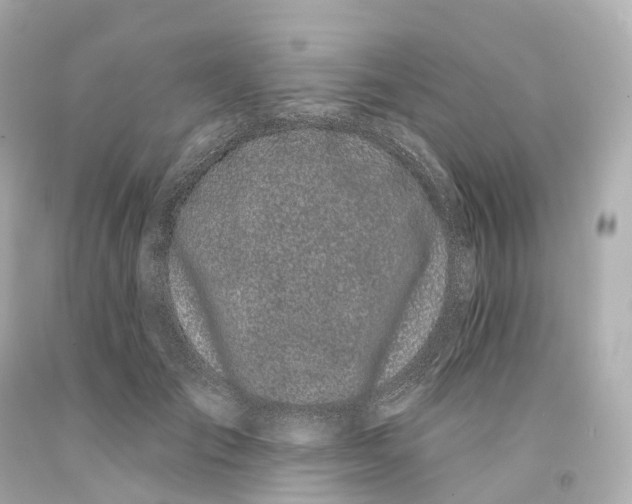 X0000093090701200710241201