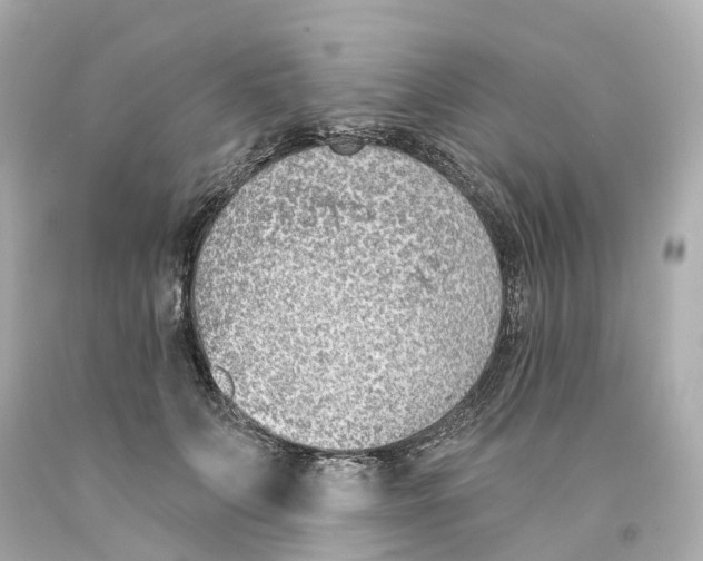 X0000093090703200710241201