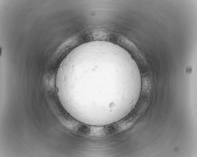 X0000093090705200710241201