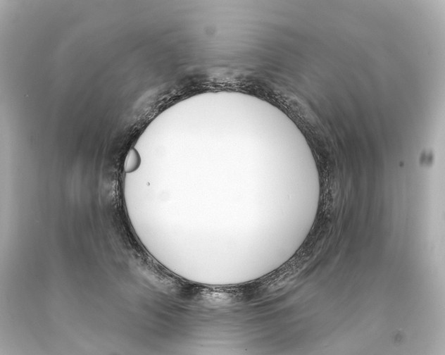 X0000093090706200710241201