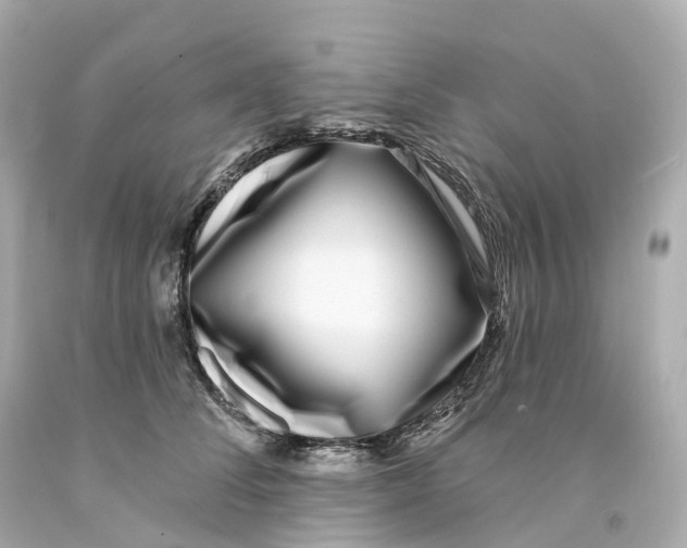 X0000093090708200710241201