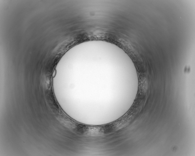 X0000093090709200710241201