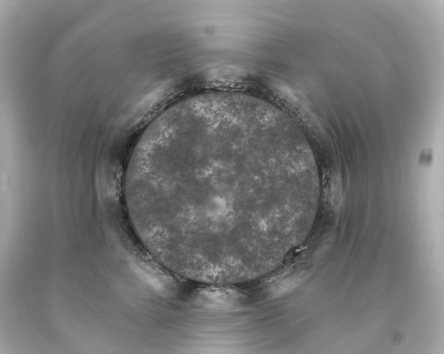 X0000093090712200710241201