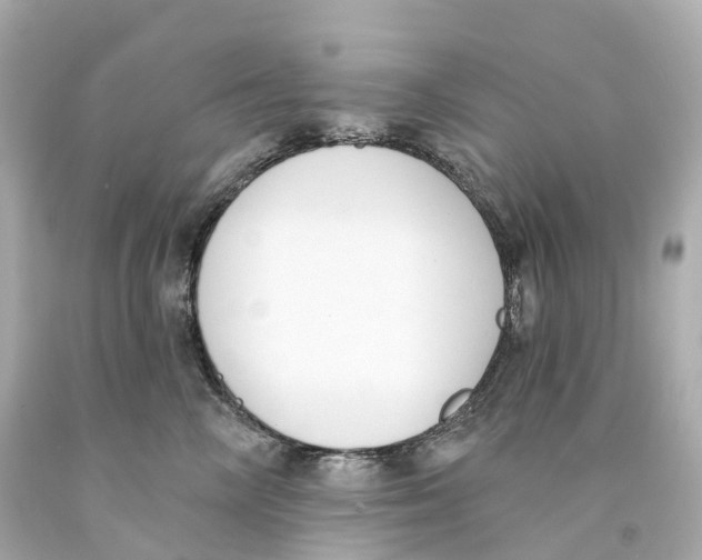 X0000093090714200710241201