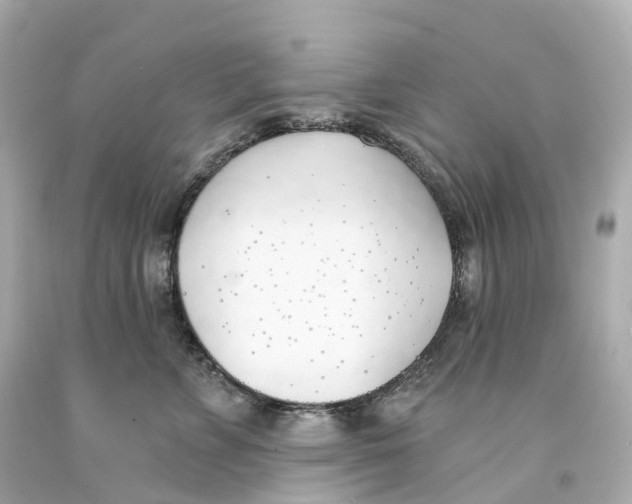 X0000093090715200710241200