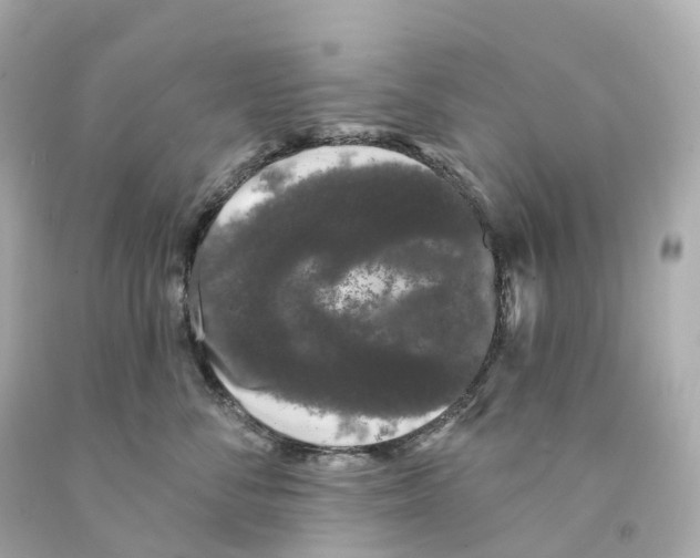 X0000093090716200710241200