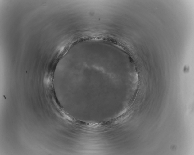 X0000093090720200710241200