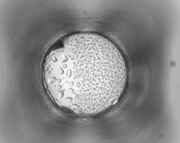X0000093090721200710241200