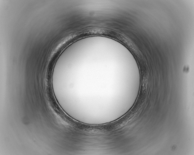 X0000093090722200710241200