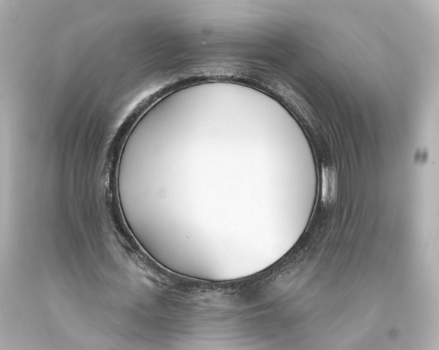 X0000093090723200710241200