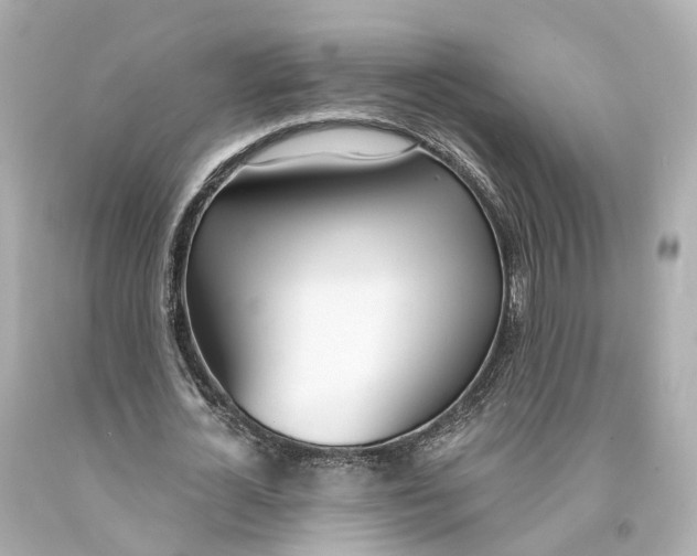 X0000093090724200710241200