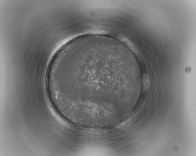 X0000093090726200710241200