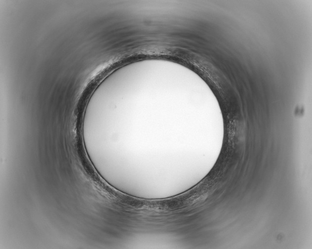 X0000093090727200710241200