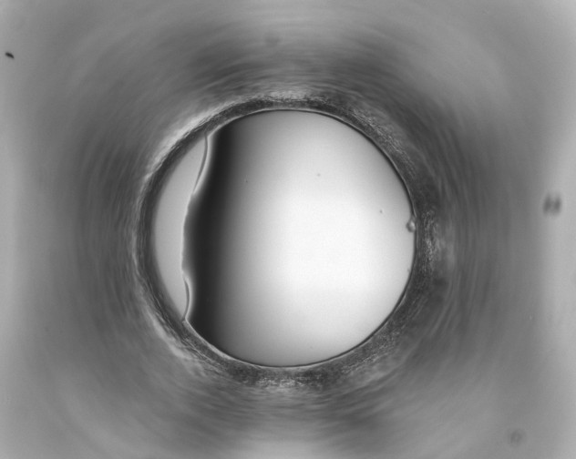 X0000093090728200710241200