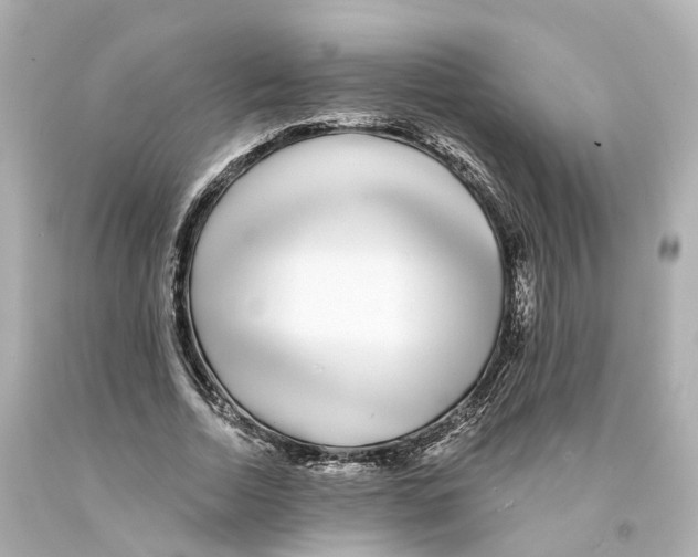 X0000093090730200710241200