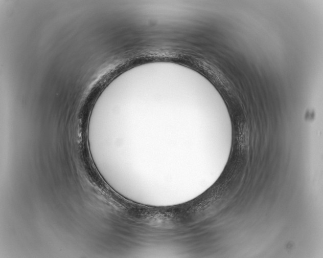 X0000093090731200710241200