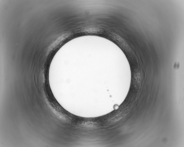 X0000093090734200710241200