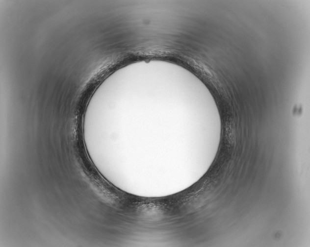 X0000093090735200710241200