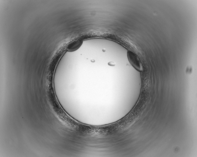 X0000093090736200710241200