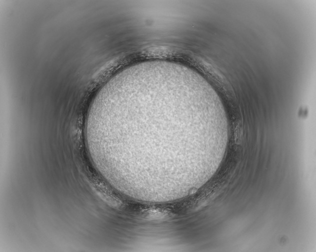 X0000093090737200710241200
