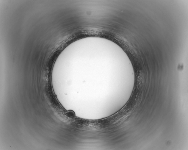 X0000093090739200710241200