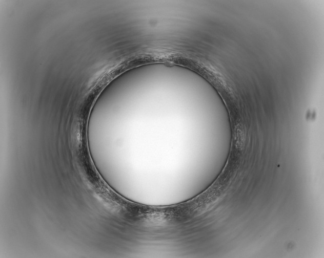 X0000093090740200710241200