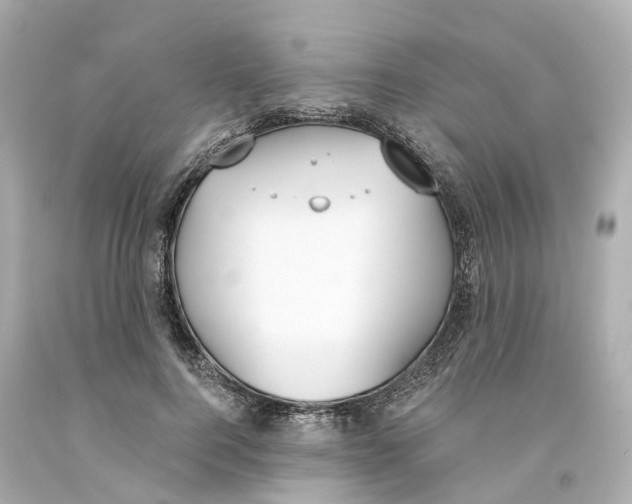 X0000093090744200710241200